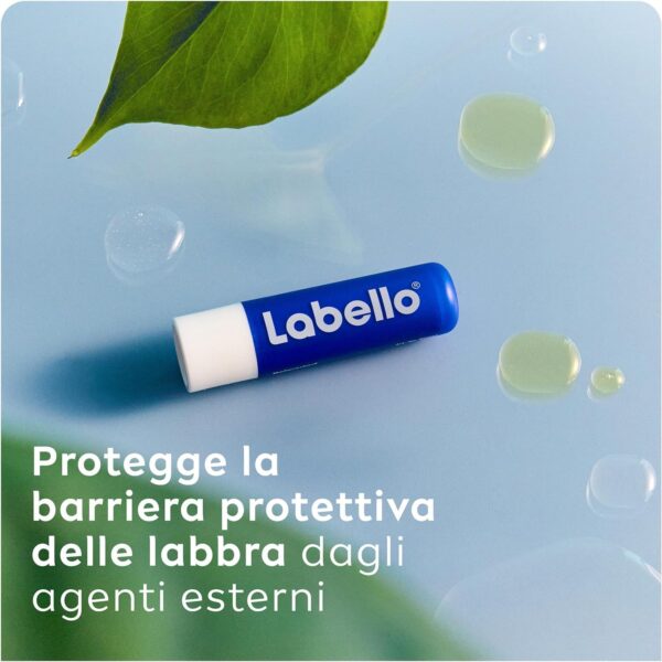 Labello Classic Care Lip Balm - 5gm | 12 hour hydration