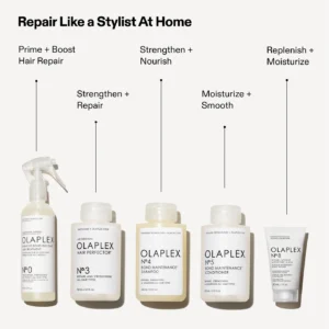 Olaplex Hair Repair Treatment Kit