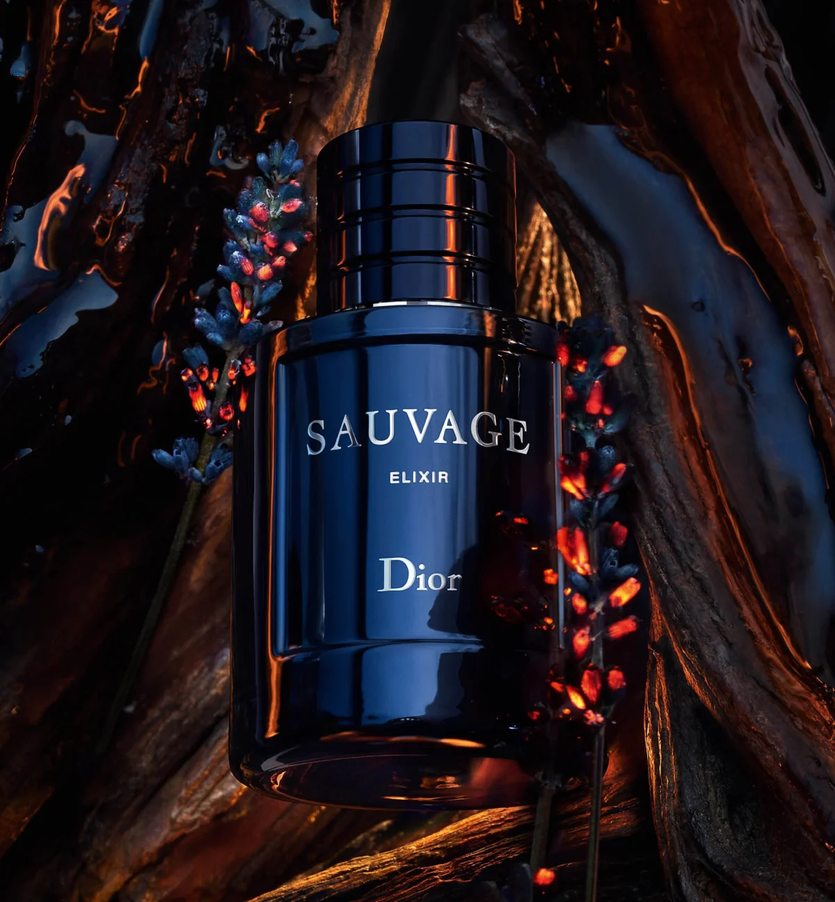Dior Sauvage Elixir Parfum For Men Bangladesh