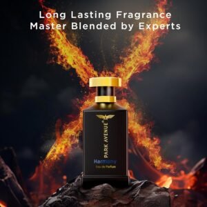 Park Avenue Harmony Perfume For Men - 100ml | EDP