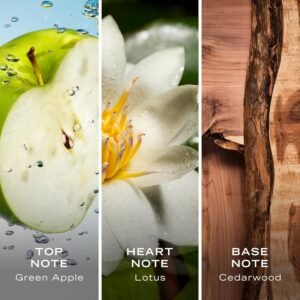 Nautica Voyage Perfume Notes