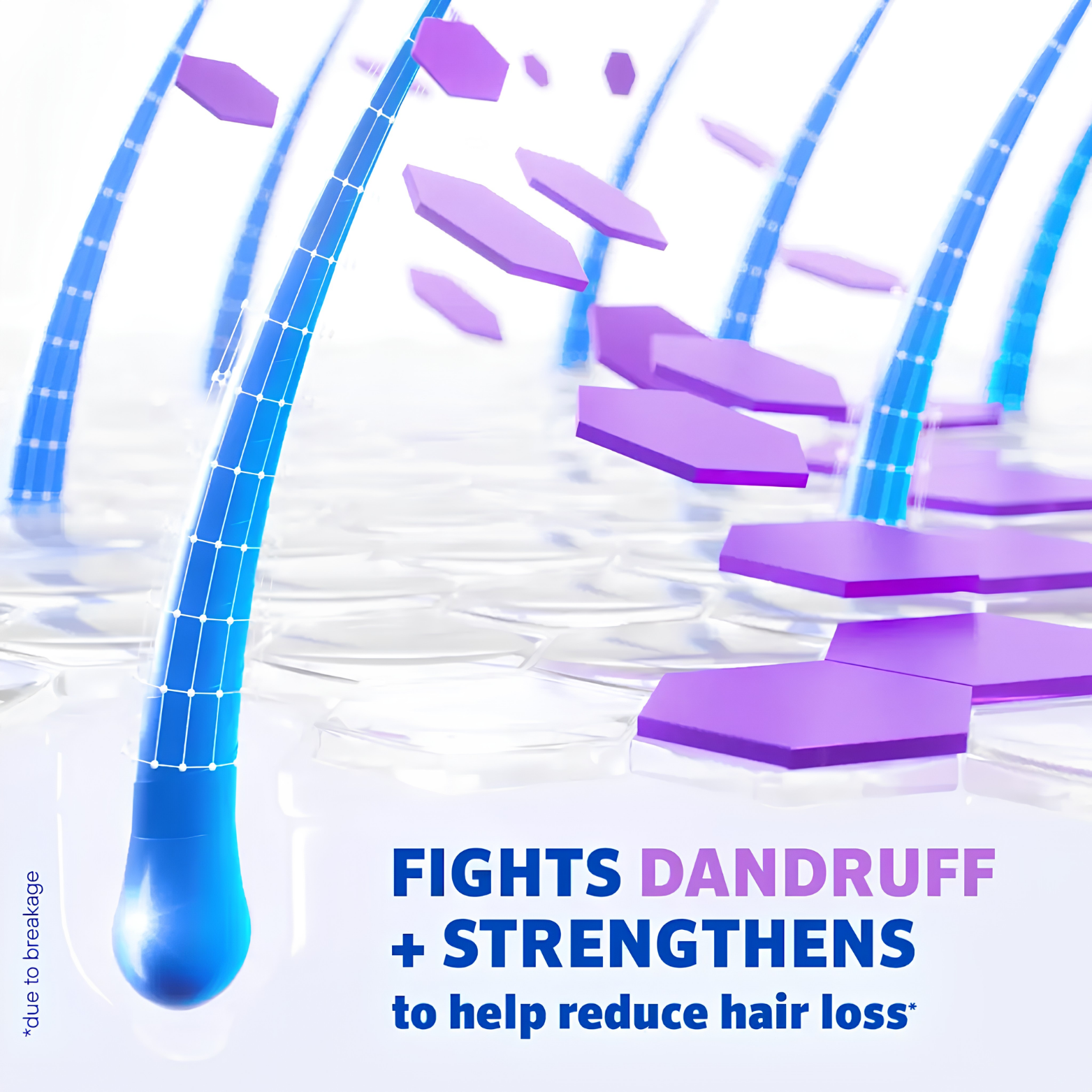 Men's ROGAINE 2 percent Salicylic Acid Anti-Dandruff Shampoo and Conditioner bottle layout