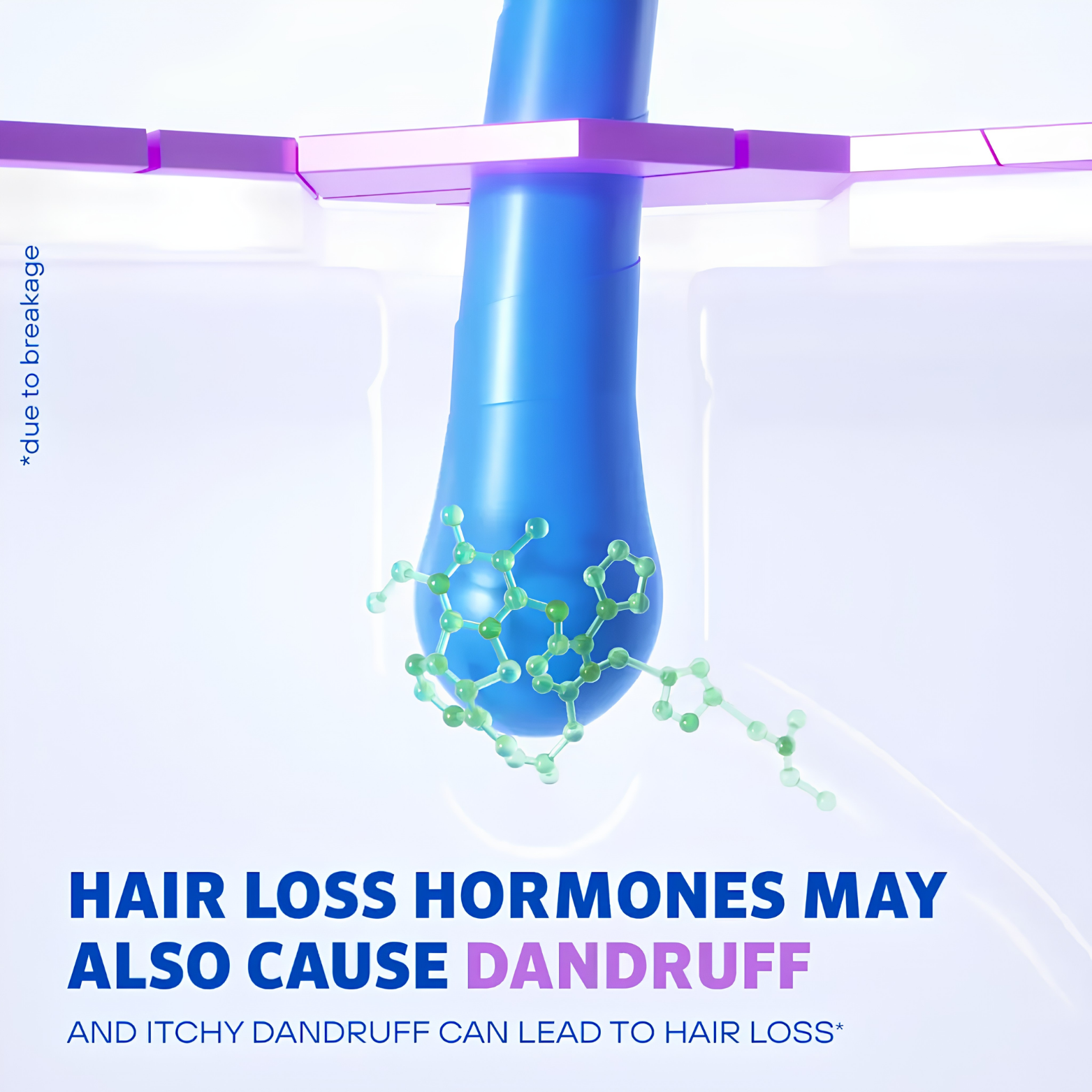 Men's ROGAINE 2 percent Salicylic Acid Anti-Dandruff Shampoo and Conditioner bottle layout