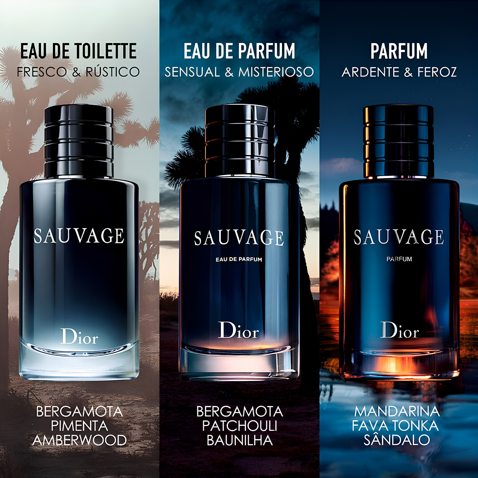 Dior Sauvage Eau De Parfum for Men bottle