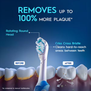 Oral B Cross Action AA Battery Electric Toothbrush layout